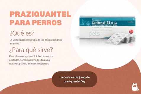 praziquantel