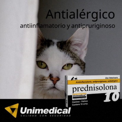prednisolona
